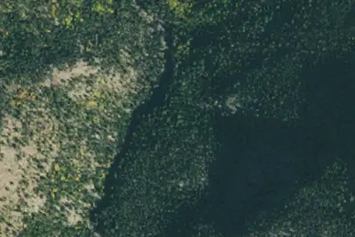 U.S. Forest Service Site 4