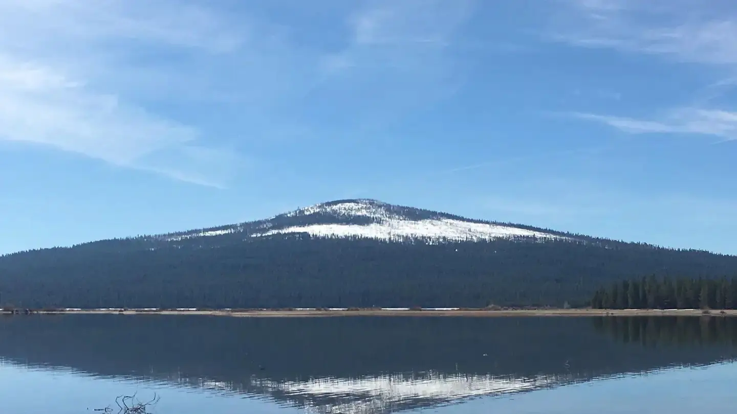 Gull point