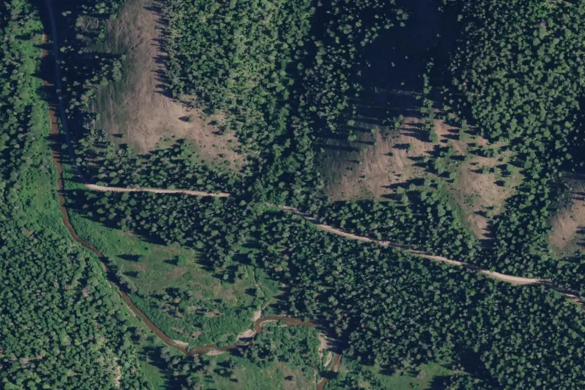 Aerial view