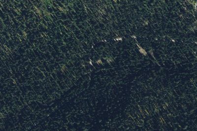 429 Road-002