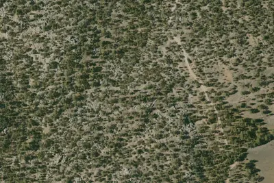 Camp site