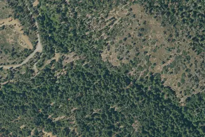 Basin Gulch Campground