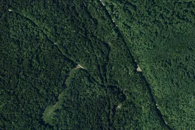 Camp site