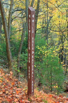 Detweiler Run Natural Area (Revisited) (1) (10545405655)