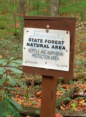 Detweiler Run Natural Area (6) (8107736715)