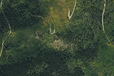 Camp site