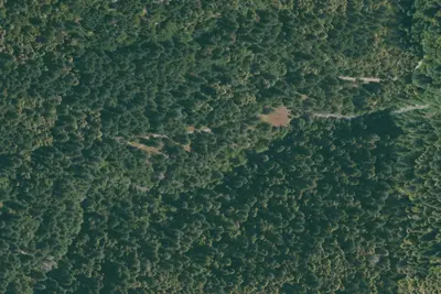 Horse Flat