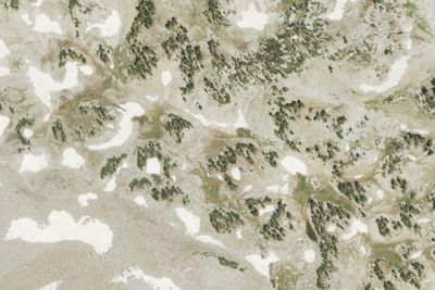 Upper Paintbrush Camping Zone