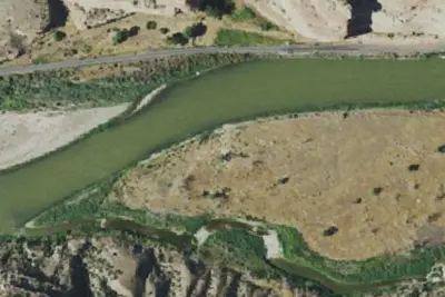 Dog Island