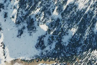 Camp site