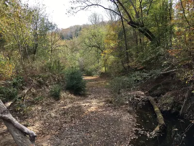 Sipsey Wilderness 2016 7
