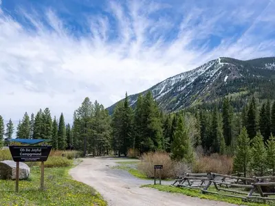 Oh Be Joyful Campground sign, gravel road, snow dusted mountain, forest, yellow wildflowers