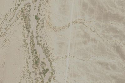 Mule Mountain LTVA