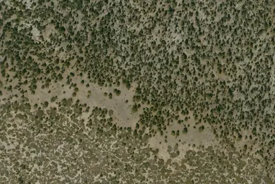 Camp site