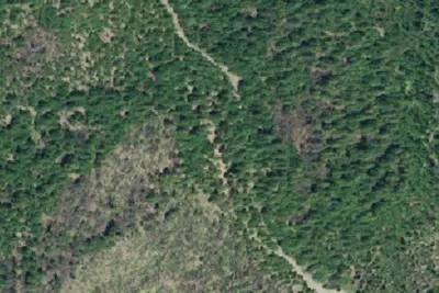 Penny Pines Campground