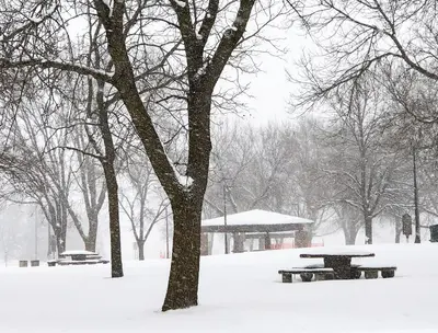 Forest Lake Rest Area (I-35), Minnesota (47061446722)