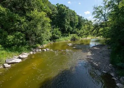 Redwood River in Camden State Park, Minnesota, as viewed upstream from a road bridge near the lower campground, August 12, 2025 (6172)