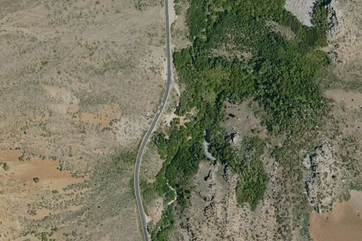 Aerial view