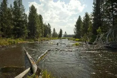 Cow Meadow Campground