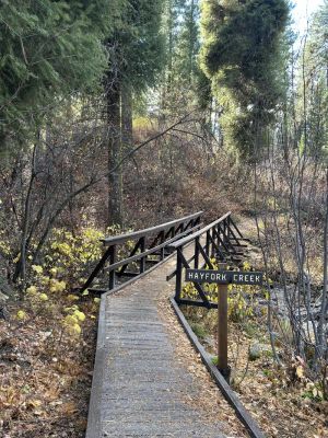 Hayfork Group Campground