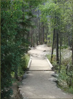 Rocky Mountains, Adams Falls Trail 8-29-12 (8119418773)