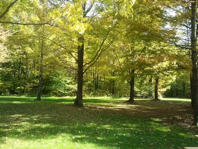 Interstate 90 Rest Area - panoramio (4)
