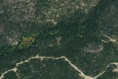 Camp site
