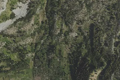 Elk Cove Camp
