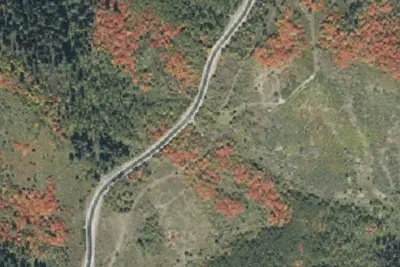 Camp site