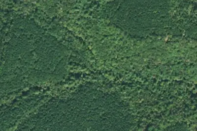 Camp site