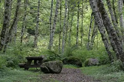 Coal Creek Group Camp