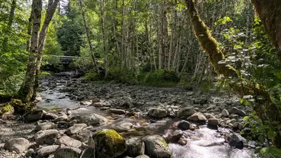 Coal Creek Group Camp