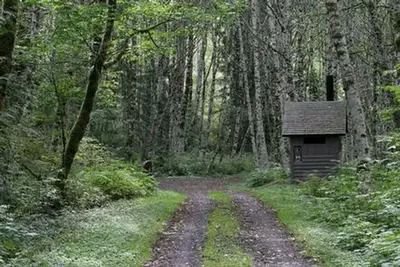 Coal Creek Group Camp