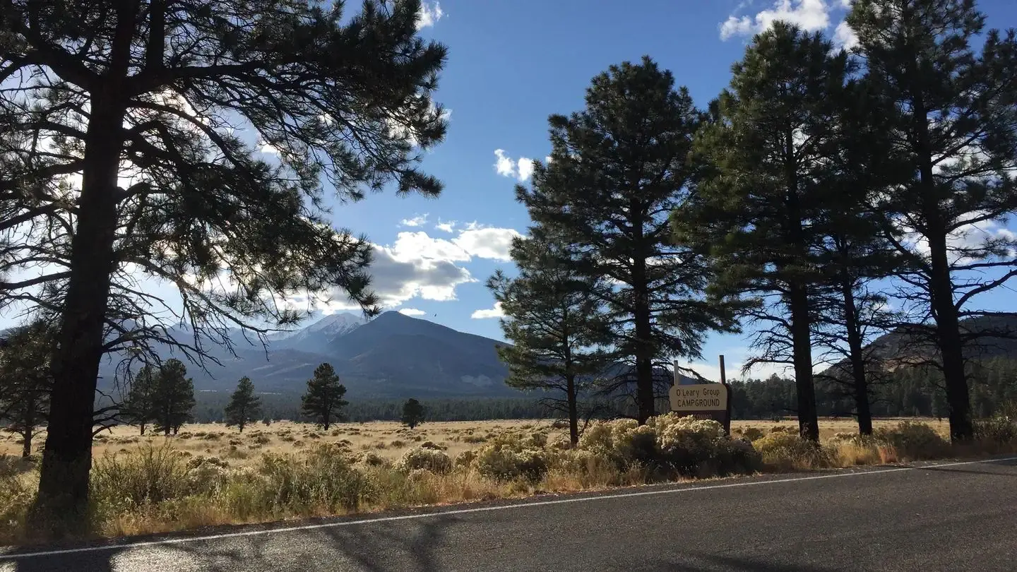 O'Leary Group Campground Mountain Views