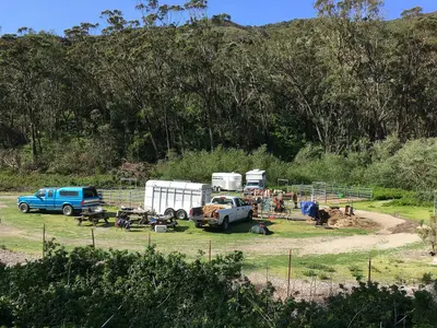Horse Camp - Montaña de Oro State Park (34253003383)