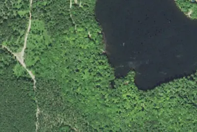 Courtney Lake Campground