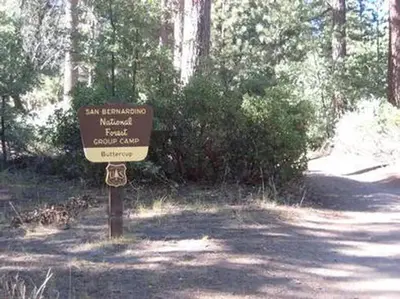 Buttercup Group Camp Sign