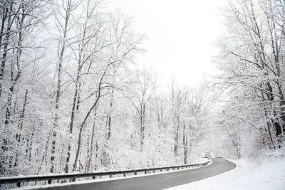 2011 snow february6 (5430880310)