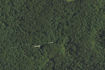 Camp site
