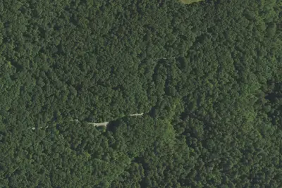 Camp site