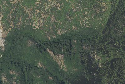 Camp site