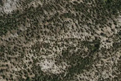 Mirror Camp