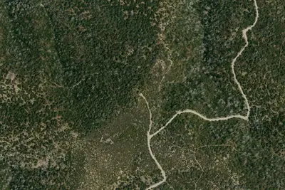Big Buck Trail Camp