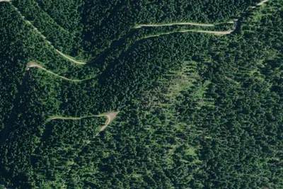 Rd 258 Site 8
