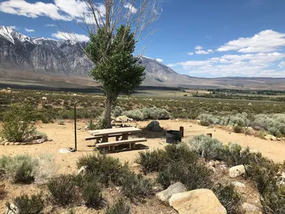 Horton Creek Campground (48181601431)