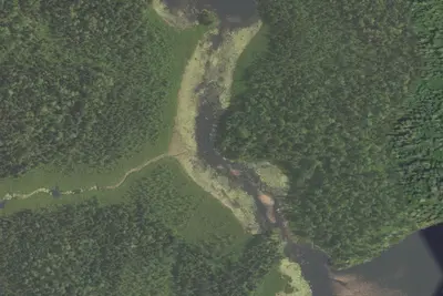 Camp site