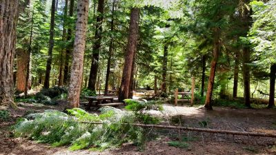 Lewis River Hc (wa) Gifford Pinchot Nf