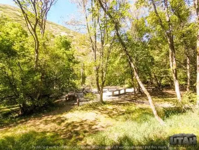 Cherry Campground