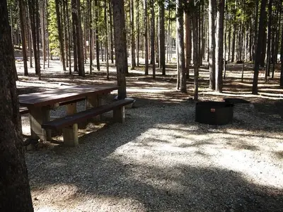 Basin Site 24
