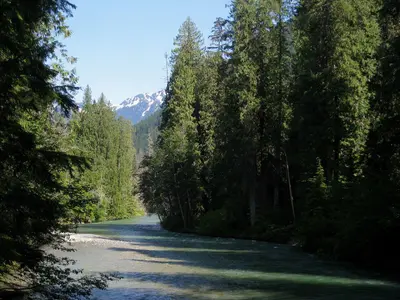 Thunder Creek - Flickr - brewbooks